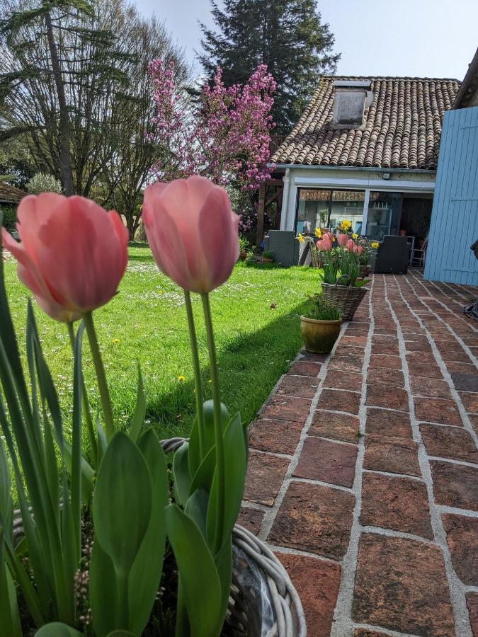 Bed and Breakfast Domaine Du Tafiart Sarron Exterior foto