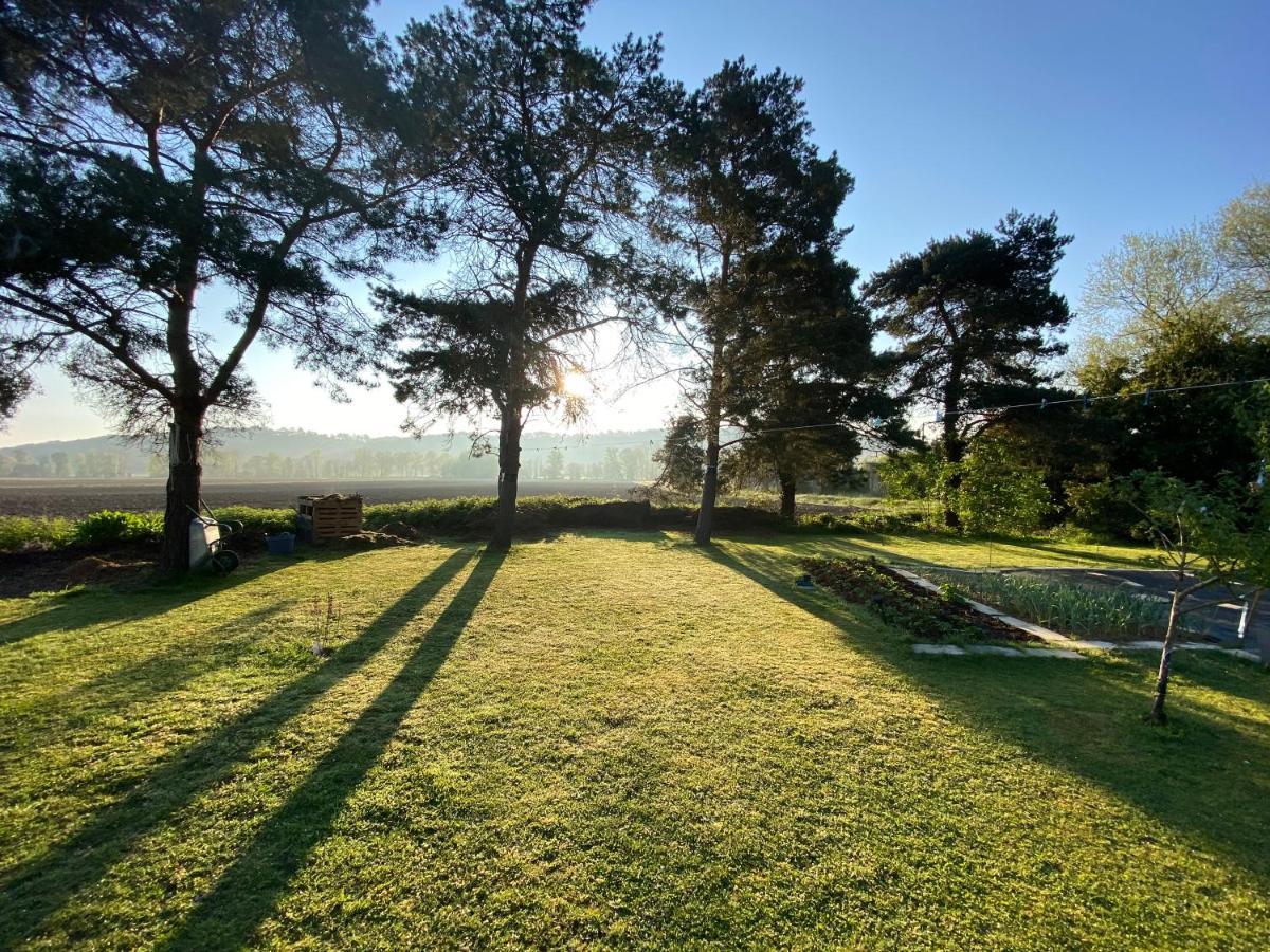 Bed and Breakfast Domaine Du Tafiart Sarron Exterior foto